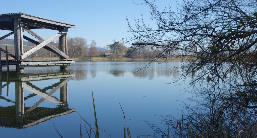 Sprungturm im See