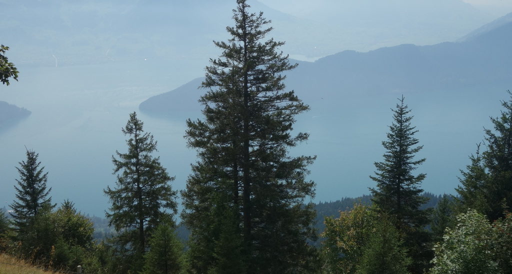 Wanderung Rigi Panoramaweg